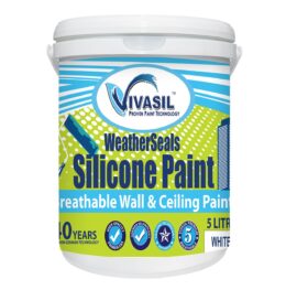 silicone paint