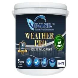 Weather Pro
